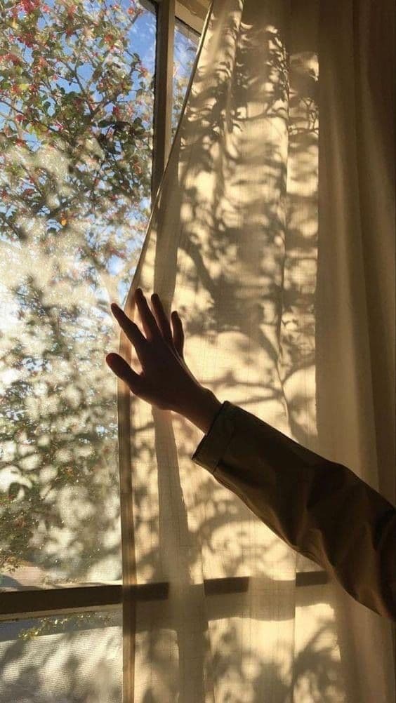 recommendation_image_bg